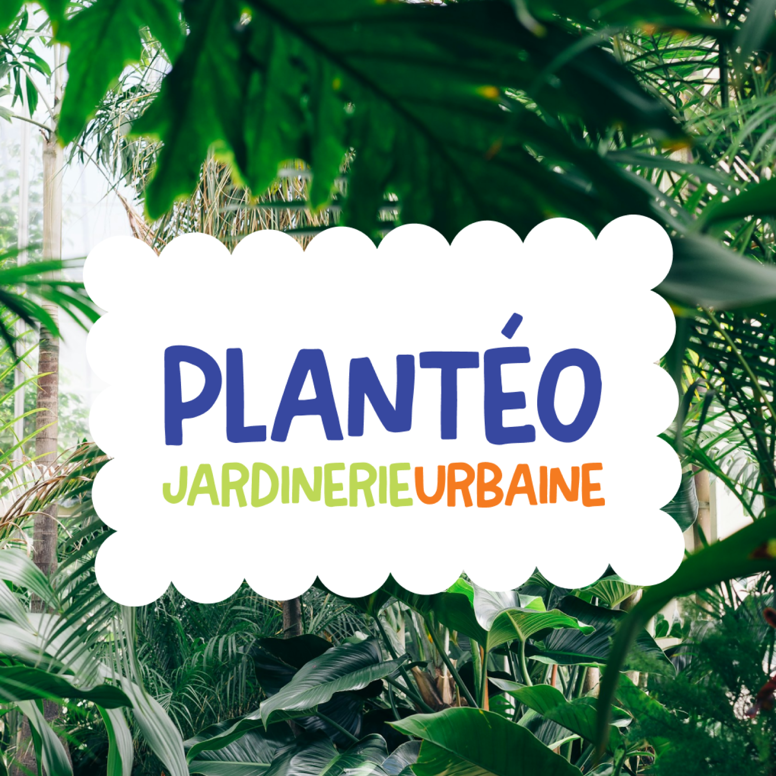 Plantéo 1